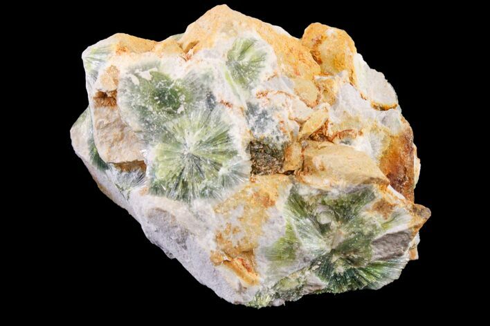 Radiating, Green Wavellite Crystal Aggregation - Arkansas #163060